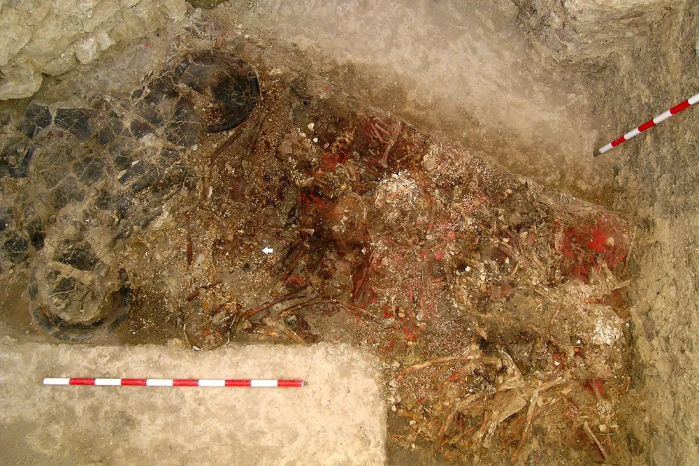 Cinnabar on Skeletons