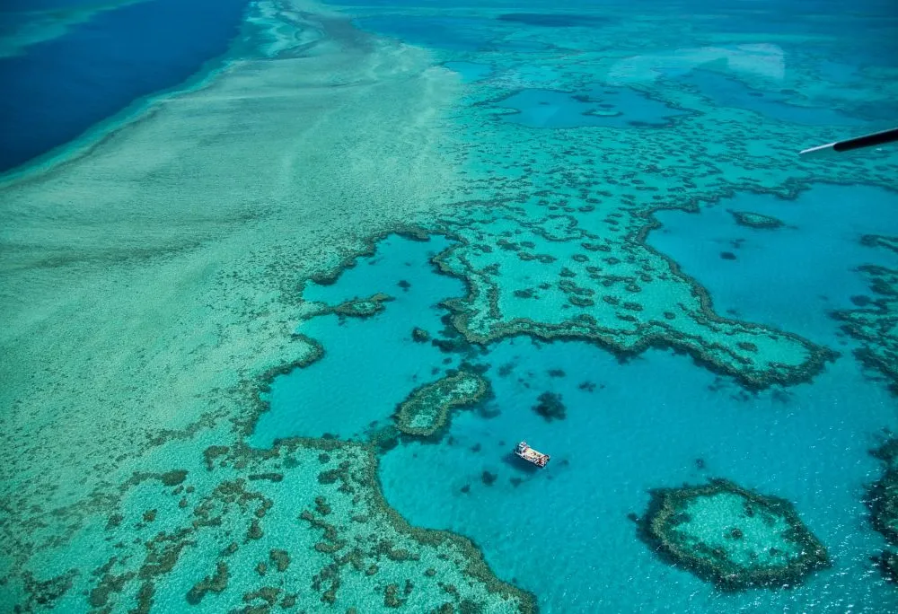 Natural Great Barrier Reef in Queensland