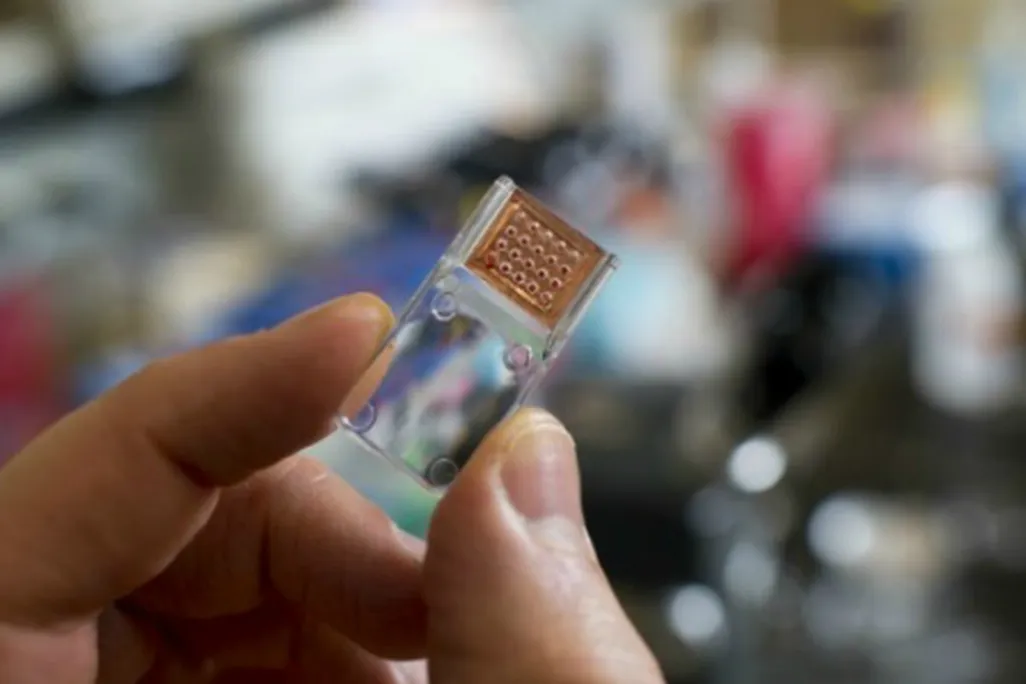 Meet the Domino, a little chip that can diagnose your health.