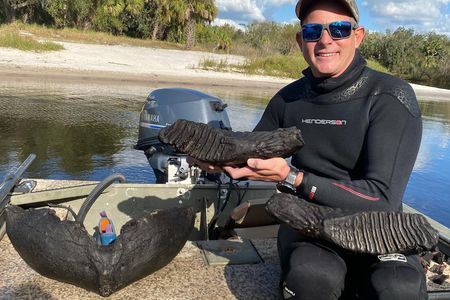 The jawbone likely belonged to a Columbian mammoth.