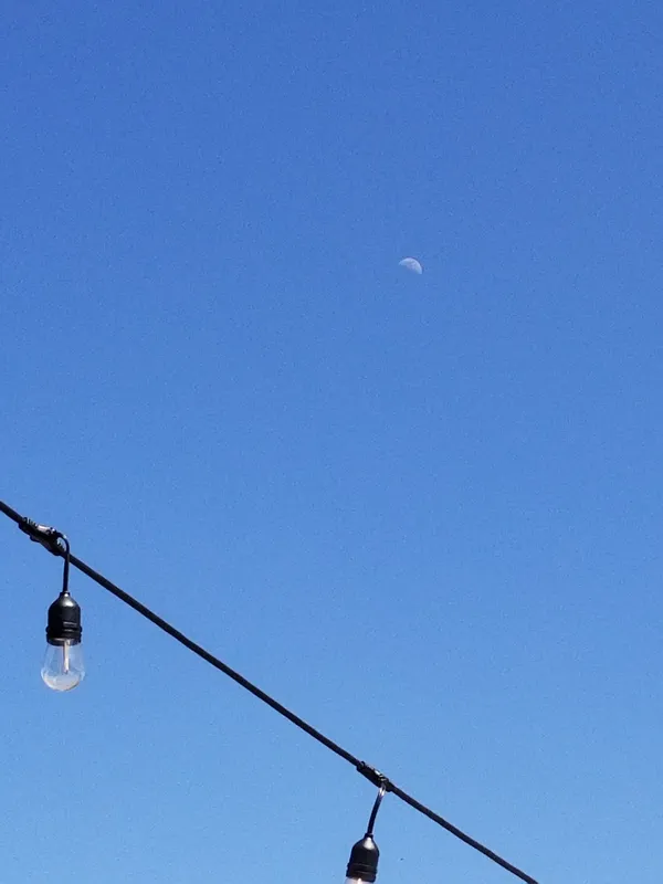 I Think That's The Moon Sneaking Out Early. thumbnail