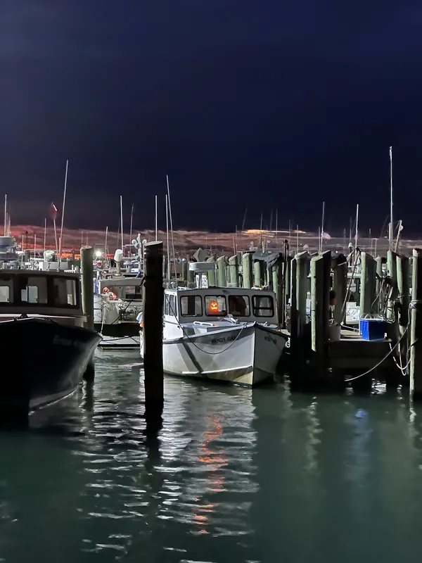 Jack-O-Lantern Skipper thumbnail