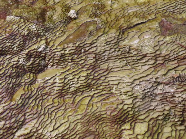 natural ripples at Wai-o-tapu Thermal Area thumbnail