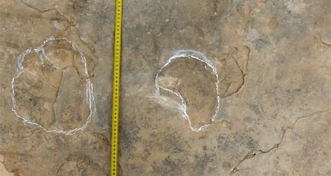 Part of a sauropod trackway from the Teruel, Spain tracksite
