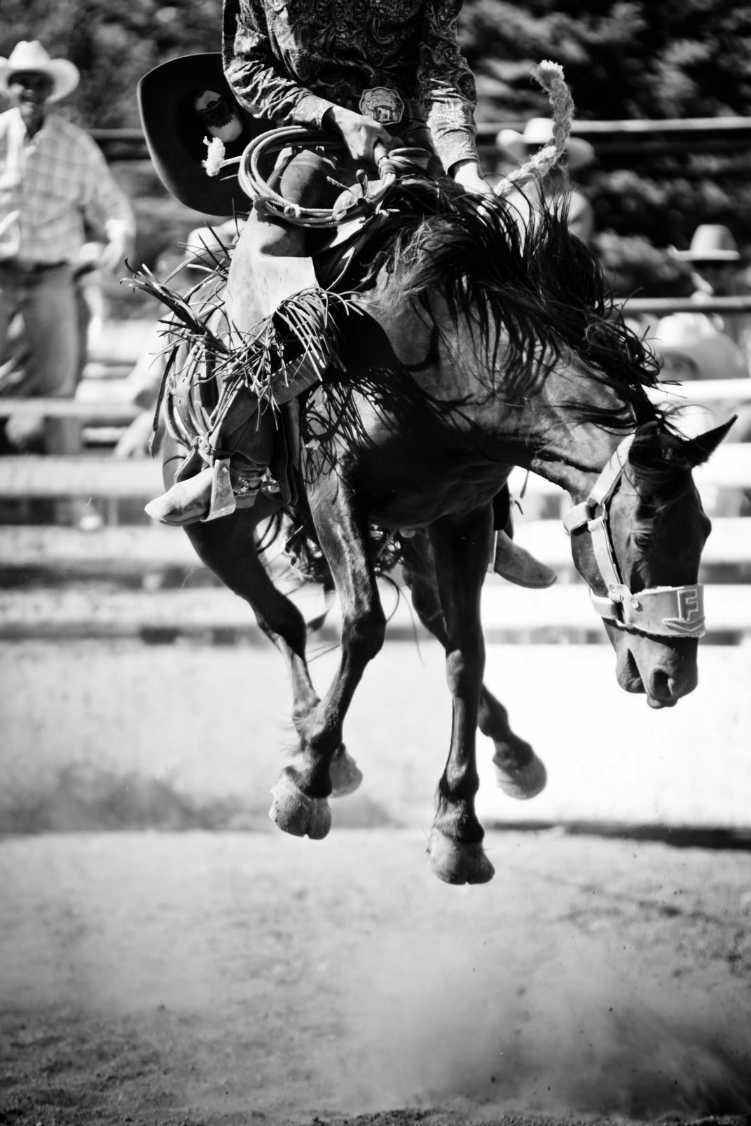 At a local rodeo experiences real cowboy culture. | Smithsonian Photo ...