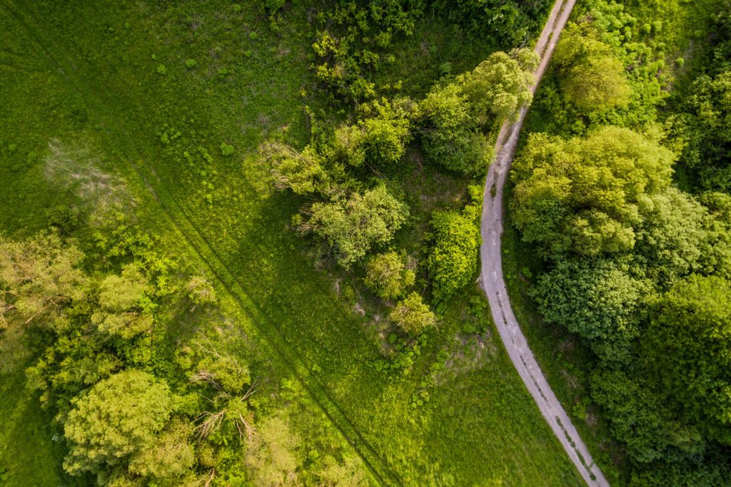 aerial landscape.jpg