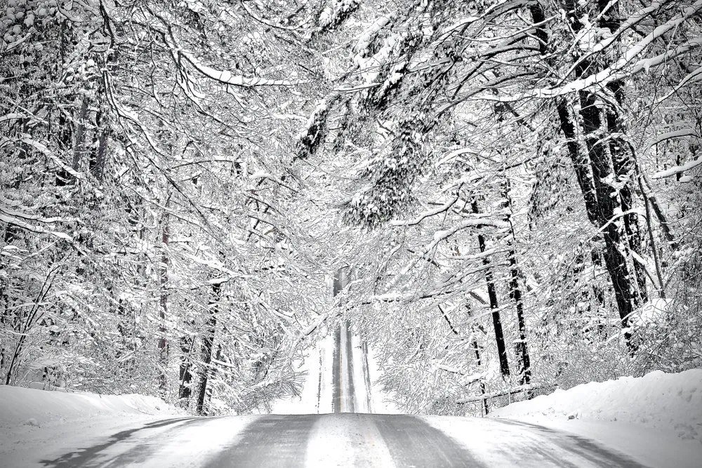 Through the refined eye of Grand Rapids, Michigan-based photographer Dave Thompson, a simple snow-covered road becomes an elegant study in line, texture, contrast & light.

In this image, Dave captures the hush of a fresh morning snowfall with its sculpted branches, detail imitating monochrome pen and ink, and the soft luminosity that settles over the landscape like a veil. His composition uses the road as a natural leading line, drawing the viewer down the hill and deeper into the scene while the trees, delicately frosted and perfectly spaced, create a rhythmic visual balance. The photograph feels both still and alive, a moment suspended with crystalline clarity.