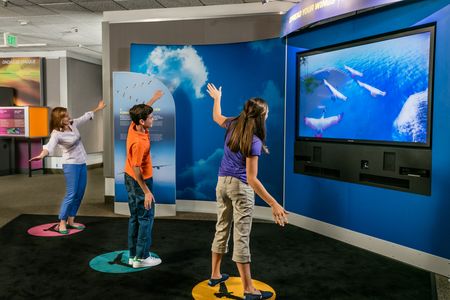 In “Spread Your Wings,” part of the new exhibit Above and Beyond, three Museum visitors learn about flight by moving their bodies to control birds on a screen. 