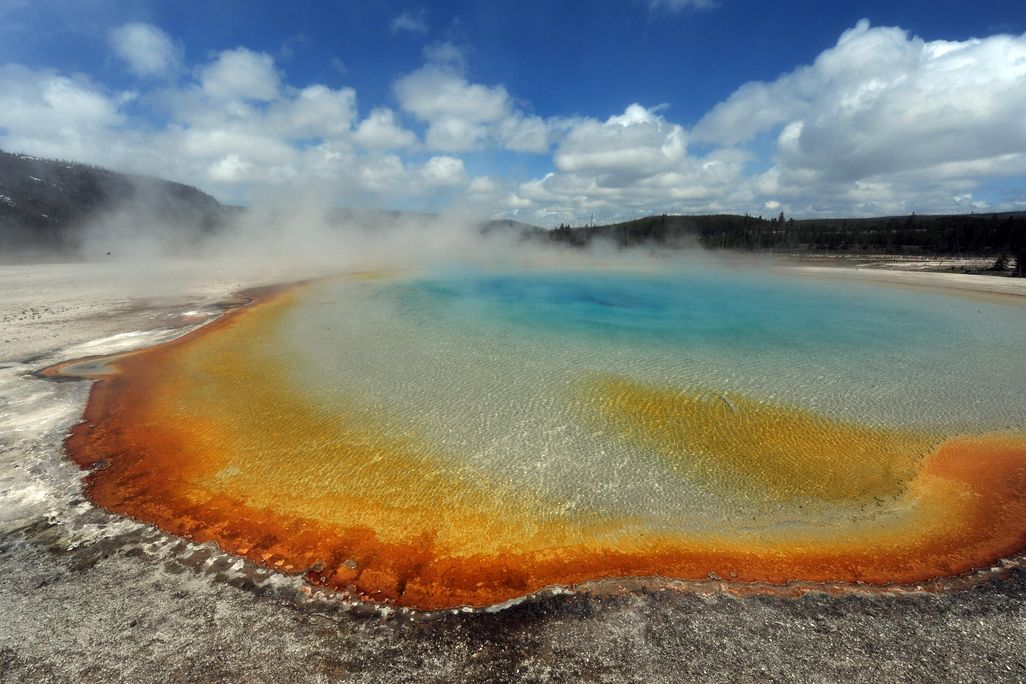 Yellowstone