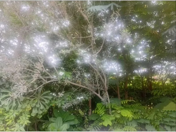 Starcluster of daylight... thumbnail