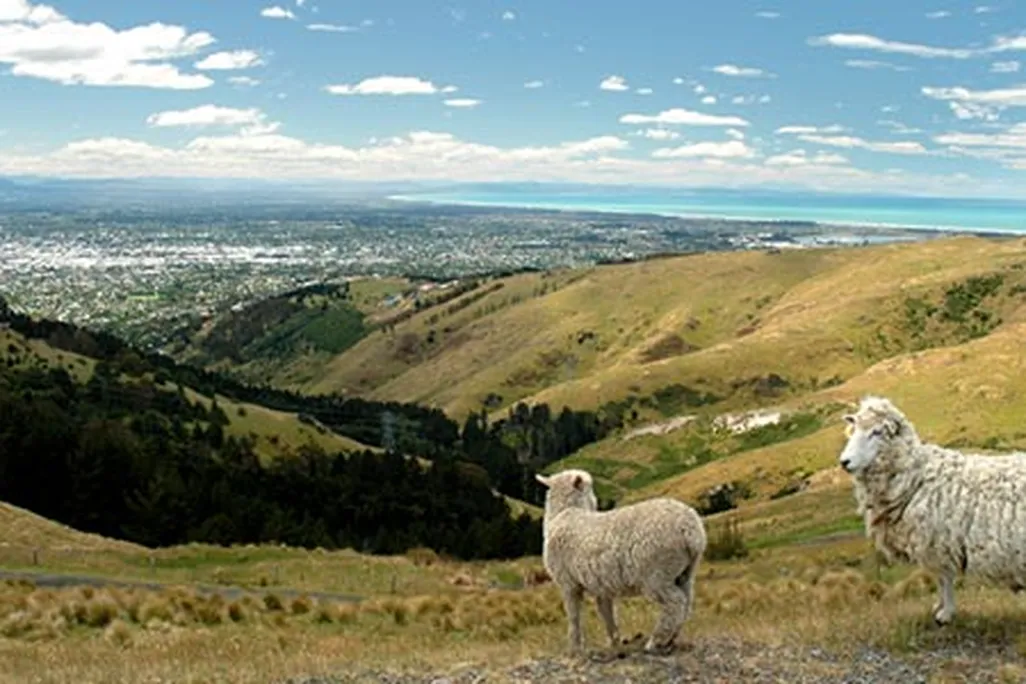 Christchurch New Zealand