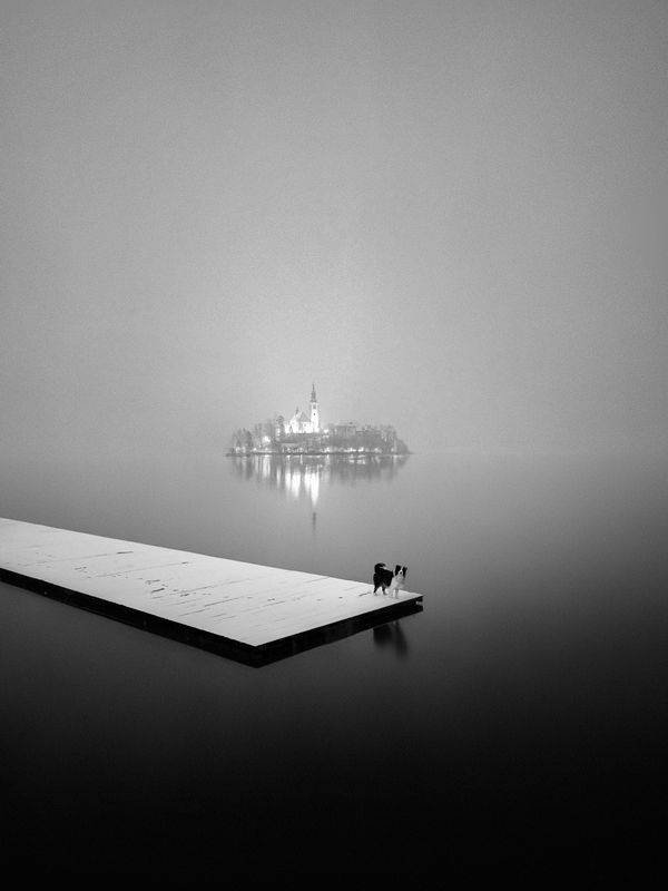Mana in the fog thumbnail
