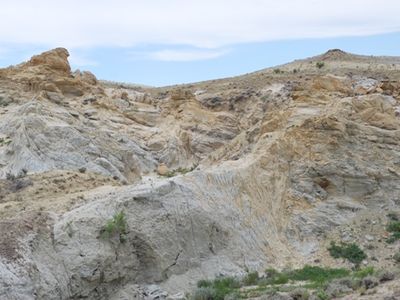 The fossil-rich landscape of Wyoming's Bighorn Basin