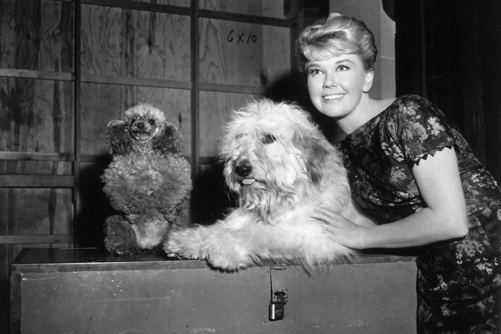 doris day