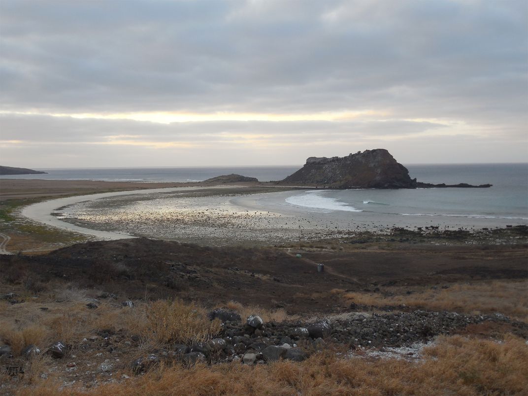 Retracing Beebe's steps on Clarion Island. Photo: Daniel Mulcahy