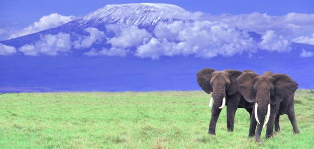 Hiking Mount Kilimanjaro | Travel| Smithsonian Magazine