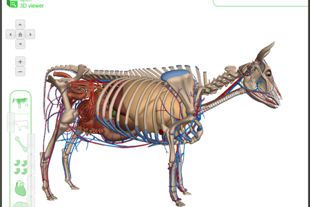 The Google Cow model, now part of the open-3d-viewer project