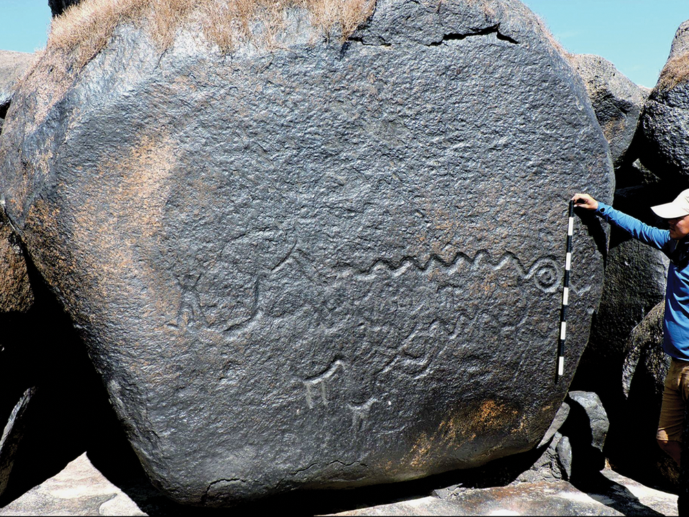 A scientist stands with a measuring tape next to a rock with animal engravings.