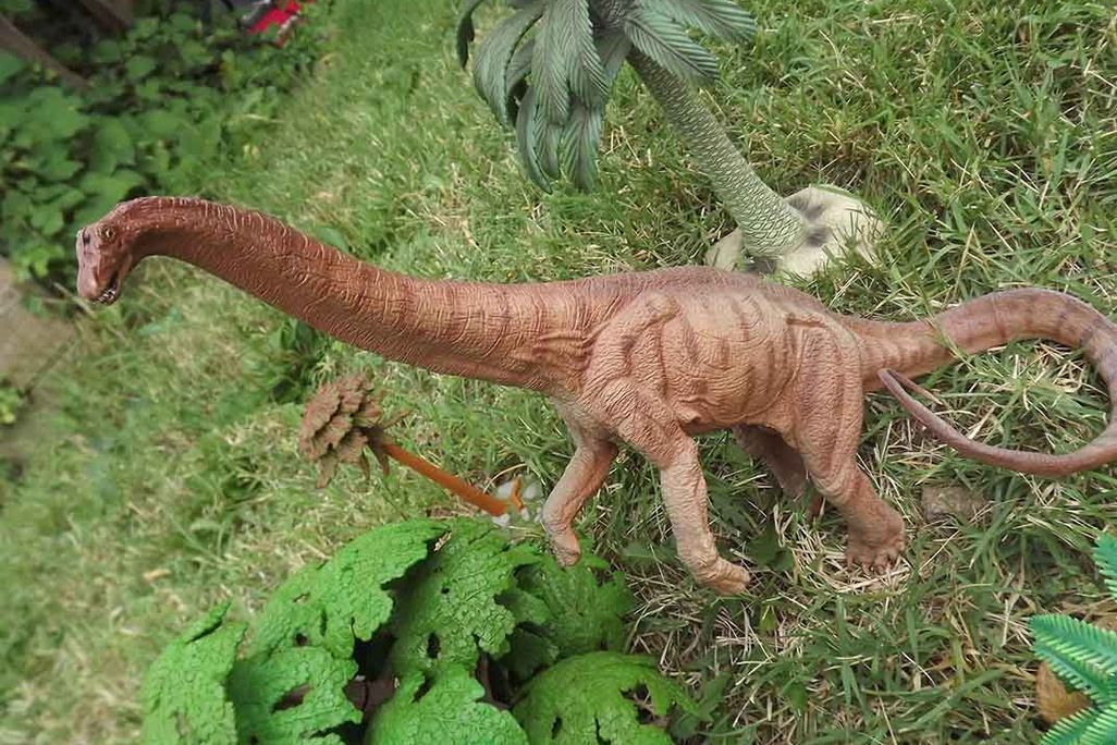 Pricey Diplodocus
