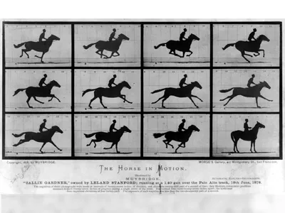 In June of 1878, just a few years after he was acquitted for murder, Eadweard Muybridge made history at a racetrack in Palo Alto, California. 