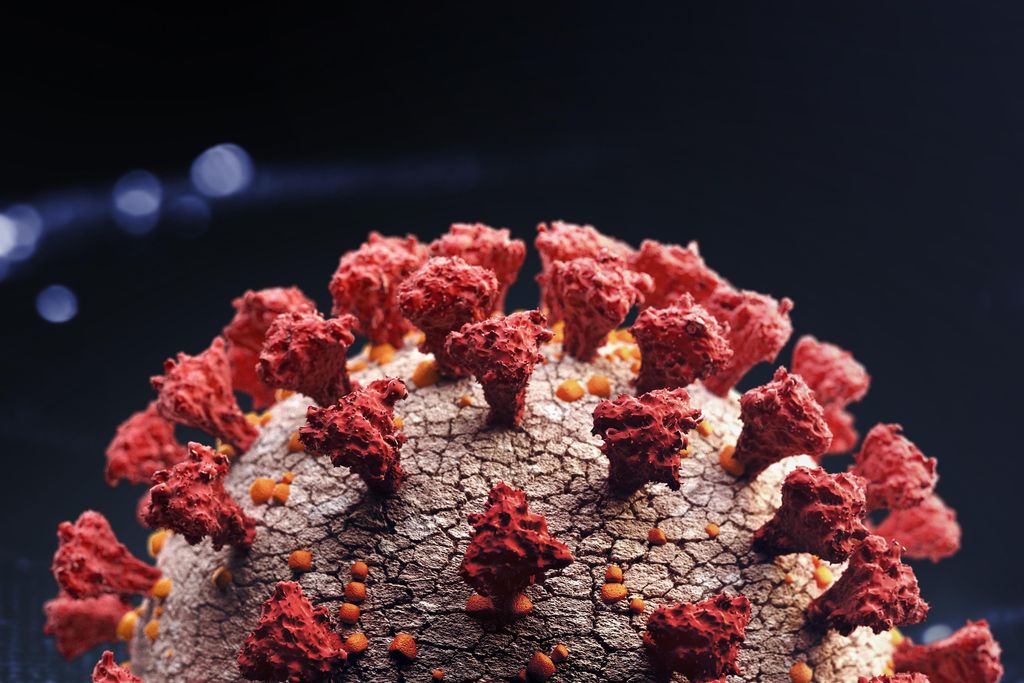 Digital illustration of a SARS-CoV-2 virus