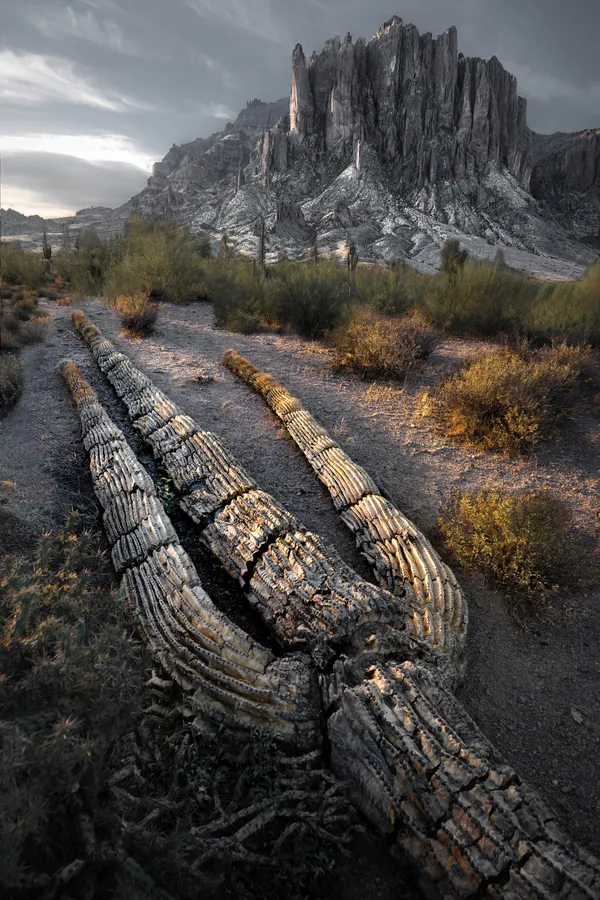 What the Mountain Remembers thumbnail