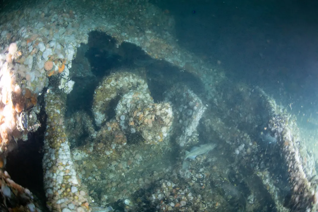 View of anchor windlass of shipwreck