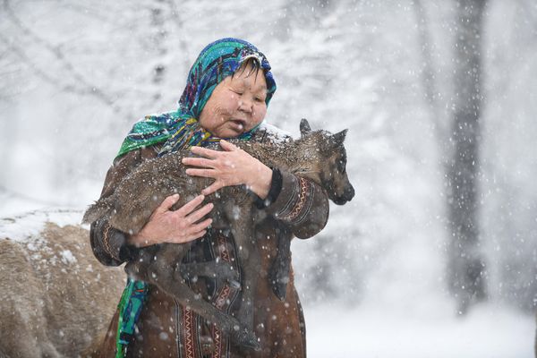 The Last Reindeer Tribe in China（5-2） thumbnail