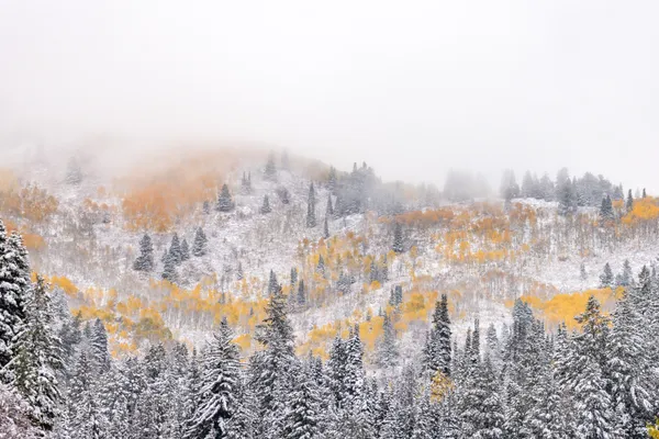 Clash of Seasons thumbnail