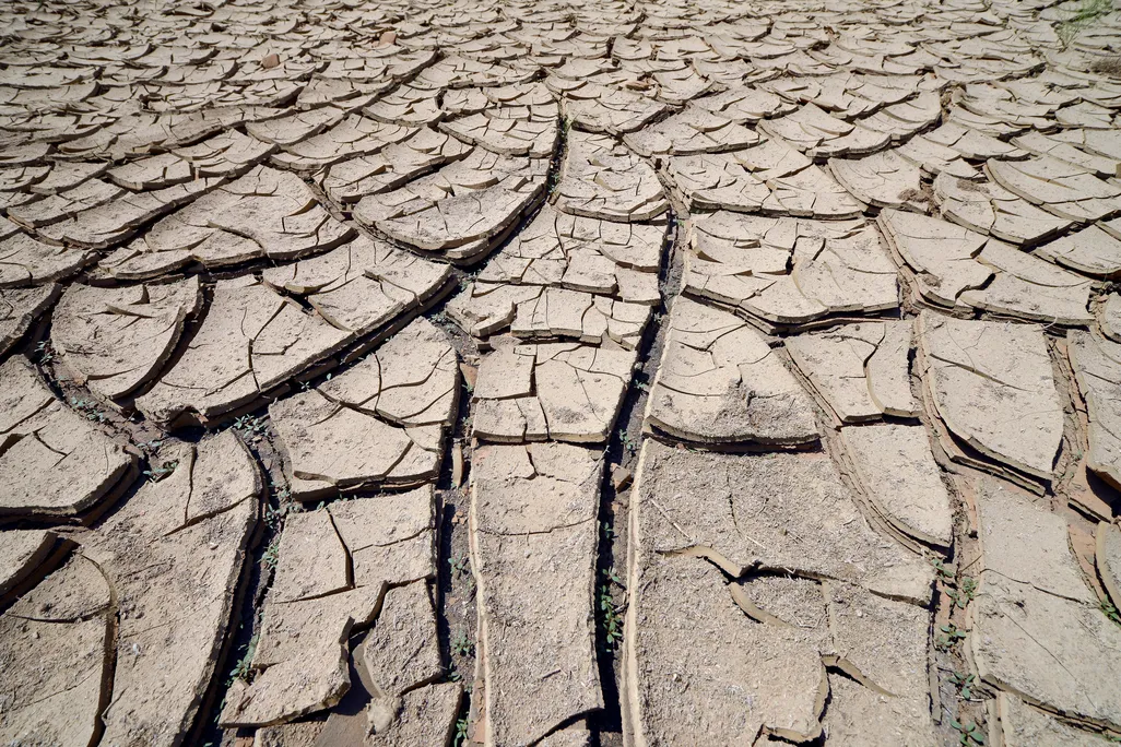 dried waterhole