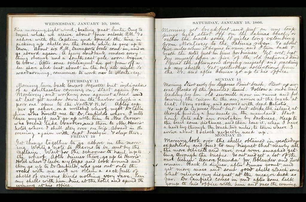 William Dall Diary Page