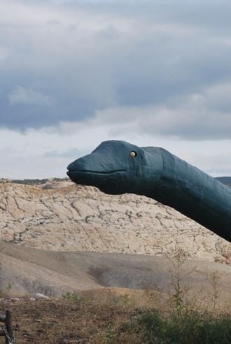 20110520083147diplodocus-dinosaur-monument-store.jpg