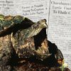 Could Citizens of This Indiana Town Have Seen a 500-Pound Turtle? icon