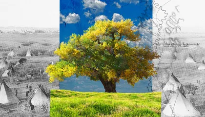 A Chance for Healing, 170 Years After a Lakota Massacre