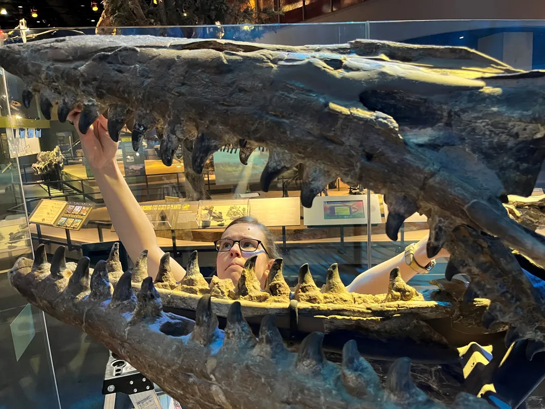 Zietlow looking at a T. rex specimen