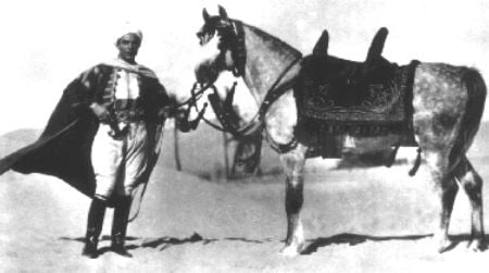 Publicity photo for The Son of the Sheik