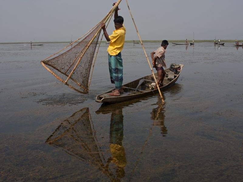 Fishing time at Tanguar haor in Bangladesh. Smithsonian Photo Contest