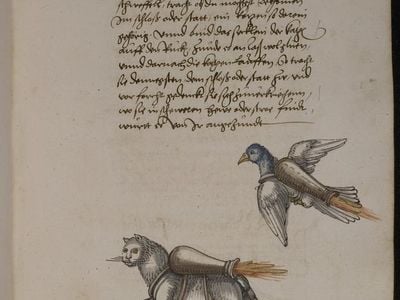 Rocket cat and rocket bird, Buch von den probierten Künsten, Franz Helm, c 1535.
