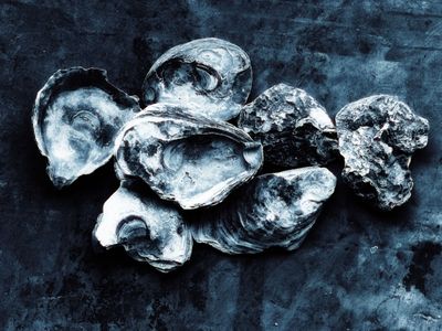 Yes, oysters can get herpes.