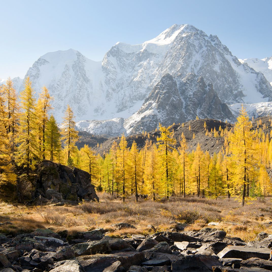 in-the-clear-air-smithsonian-photo-contest-smithsonian-magazine