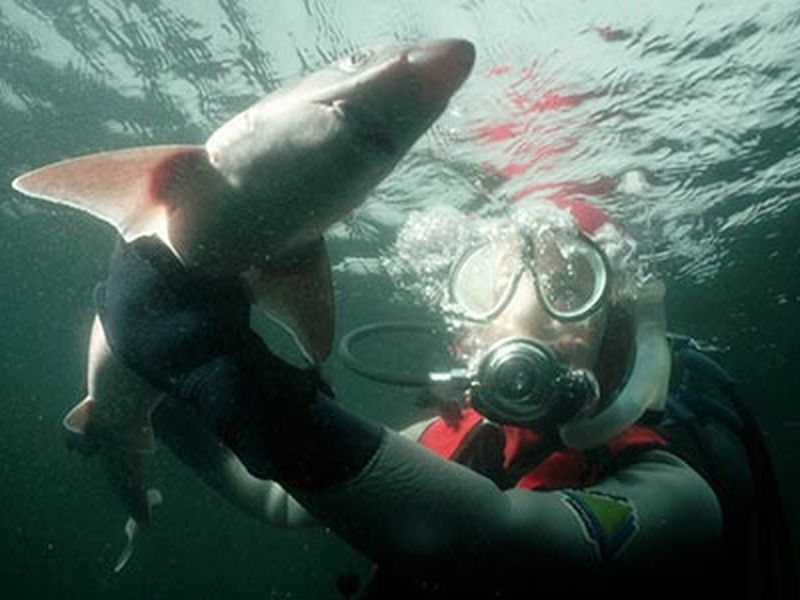 FLASH: New Sharks Jerseys Confirmed in Photos! 