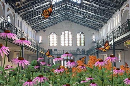 Rendering of ReWildAR, an augmented reality experience debuting at the Smithsonian's "Futures" exhibition later this year