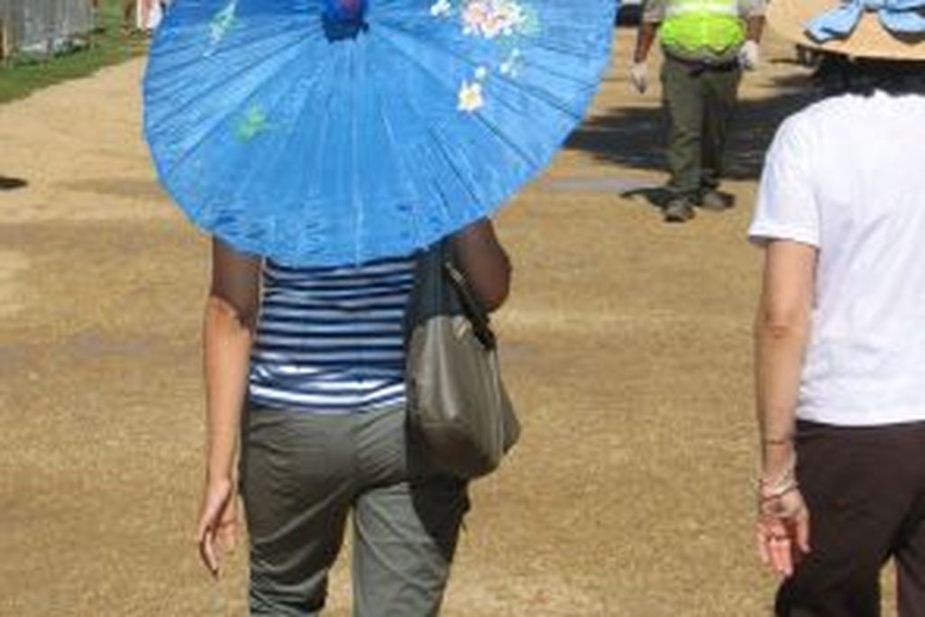 Folklife3.jpg