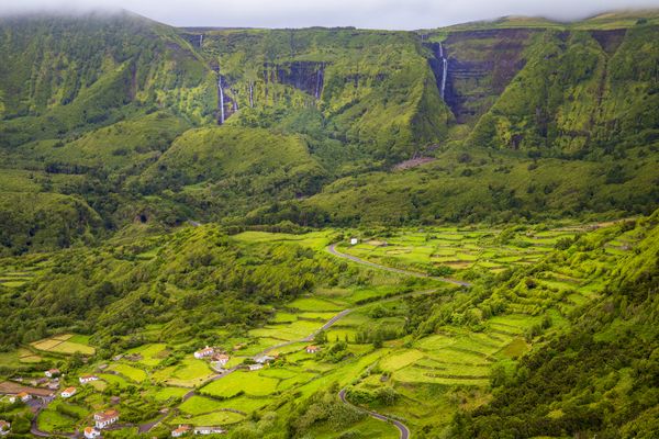 View of Flores thumbnail