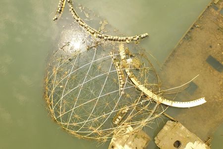 A drone shot of the Harvest Dome 2.0, sinking over a sunken ship in Gowanus Canal