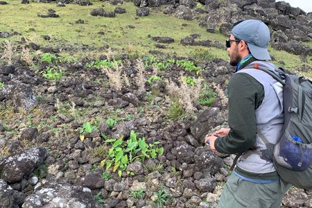 Robert DiNapoli, co-author of a new study about population dynamics on Rapa Nui, stands in front of a rock garden on the island. People used rocks to make the volcanic land more suitable for farming.