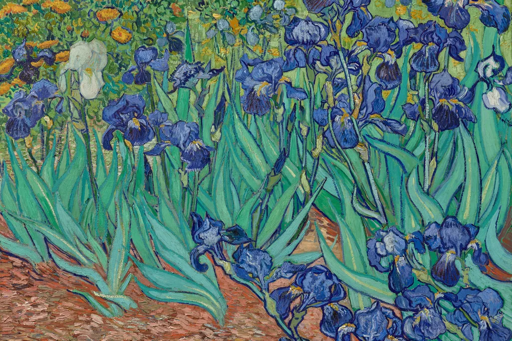 Irises