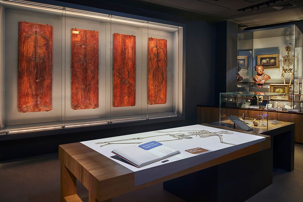 Skin tables on view at the Hunterian