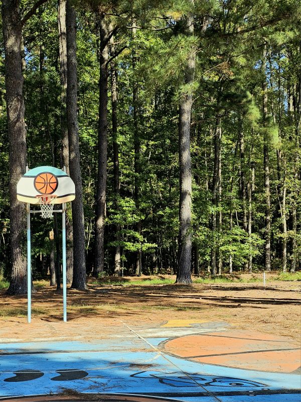 Basketball thumbnail