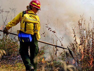 Wildland Firefighters